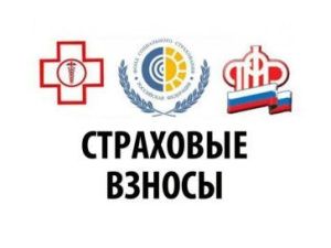 Что надо знать об отсрочке уплаты страховых взносов