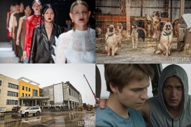 Обзор популярных и интересных новостей в Якутии за 11 октября