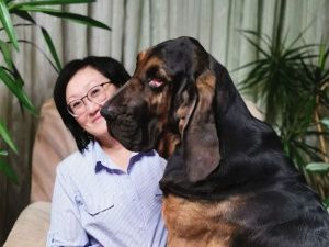 Сардана Авксентьева: Перевела все средства в фонд помощи животным