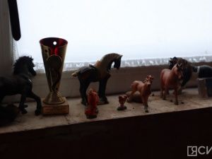 Лошади клуба «Золотая подкова» в Мархе могут не пережить эту зиму