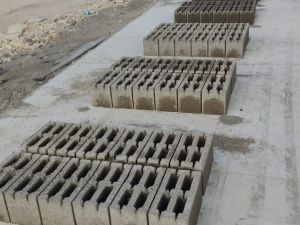 Ассоциация АЯМ: день за днем