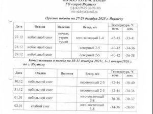 Погода на Новый год в Якутске