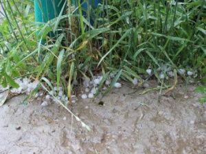 Ливни, гроза и град обрушатся на Якутию