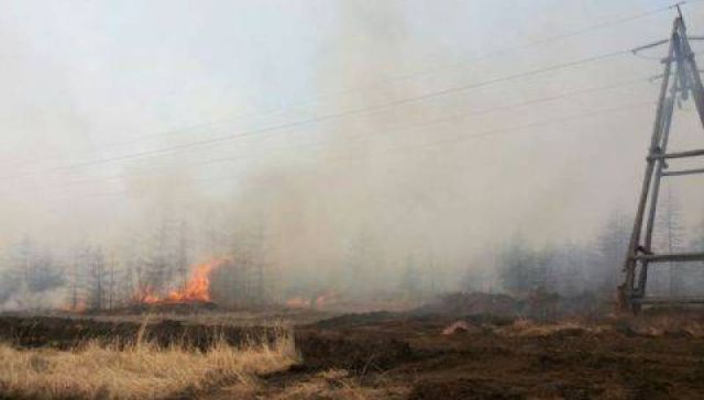 «Якутскэнерго» заплатит более 11 миллионов рублей за сожженный лес