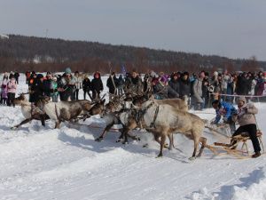 День оленевода отметили в селе Иенгра Якутии
