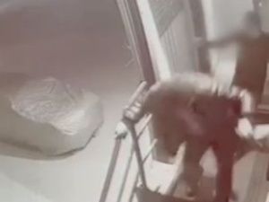 В Якутске задержан подозреваемый в двух кражах и грабеже, находившийся в федеральном розыске