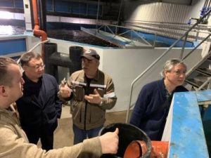 ЖДЯ: Опыт красноярских рыбоводов будет применен для восполнения рыбных запасов реки Алдан