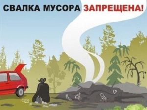 Управление муниципальных инспекций напоминает о соблюдении Правил благоустройства