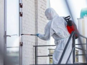 Заканчиваются сроки подачи заявления на получение субсидии на дезинфекцию по COVID-19