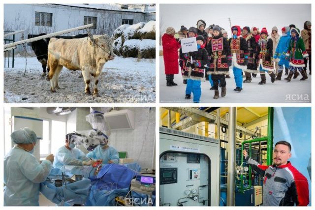 Что произошло в Якутии 1 ноября: обзор событий за день