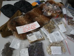 Открылась выставка мастеров коренных малочисленных народов Севера «Дуннэдув» («Земле моей»)