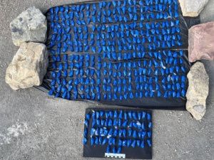 В Якутии задержали подозреваемого в покушении на сбыт наркотического средства