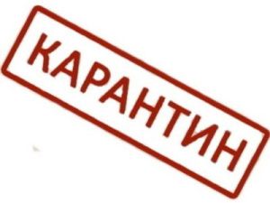 В Чурапчинском районе объявлен карантин
