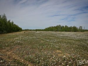 Более двух тысяч земельных участков подготовят для многодетных семей Якутска