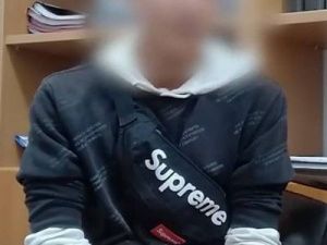 Полиция задержала вандалов, повредивших имущество экопарка «Лебединое озеро»