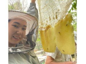 Победитель фестиваля «Муус устар-2023» реализовала свой проект по пчеловодству