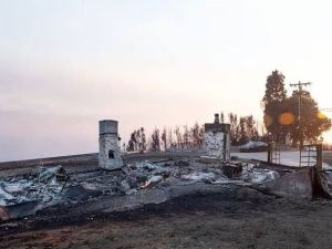 В Лос-Анджелесе десятки голливудских знаменитостей лишились собственности из-за пожаров