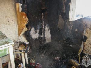 Пожар сразу в двух дачах произошел в Мирном