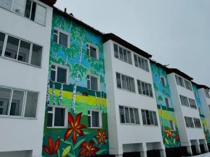 Красочный мурал появился в Горном районе Якутии