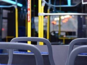 Доход незаконного перевозчика составил 15 млн рублей. Возбуждено уголовное дело