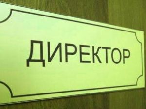 Директор школы №33 ответила на обвинения о высоких зарплатах