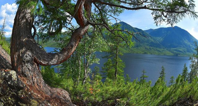 Создание нацпарка "Большое Токко" в Якутии не случайно застопорилось