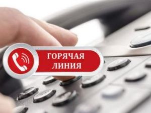 Открыта "горячая линия" по фактам незаконной реализации алкогольной продукции