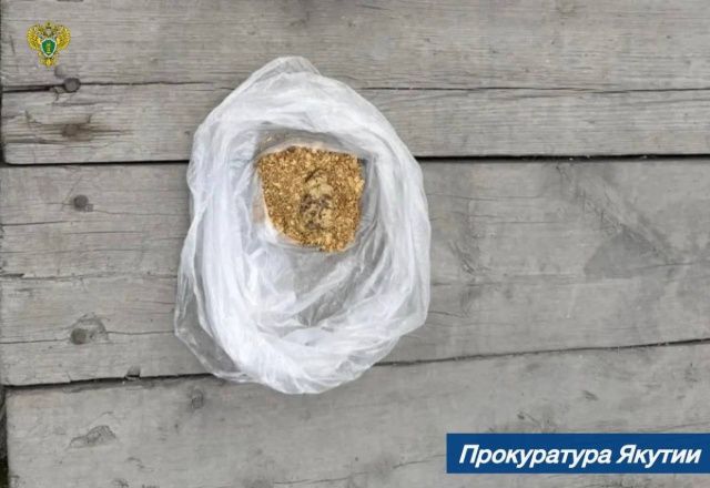 Житель Якутии лишился автомобиля и золота на 3,6 млн рублей за незаконный оборот драгметаллов