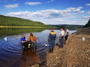 Трагедия на реке – погиб человек