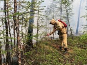 Федеральное финансирование охраны лесов Якутии от пожаров увеличили почти на 1,2 миллиарда рублей