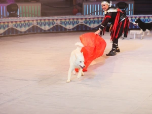 В Якутске состоялся юбилейный вечер Государственного цирка республики «Нам 30 лет»