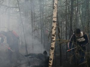 Работники культуры Якутии выезжают на тушение лесных пожаров 