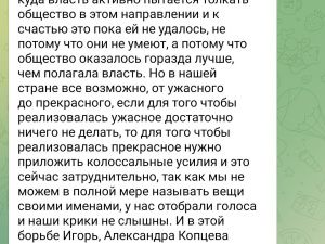 «Яблочник» Ноговицын обвинил власти в фашизме