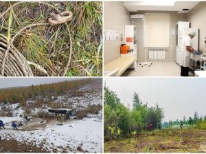 Обзор интересных и популярных новостей в Якутии за 10 сентября