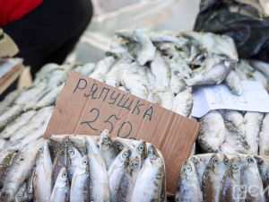 Море рыбы: Традиционная ярмарка развернулась на Комсомольской площади