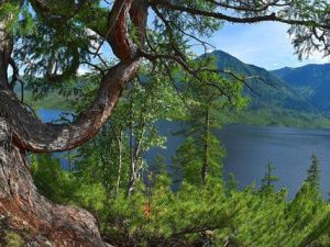 Создание нацпарка "Большое Токко" в Якутии не случайно застопорилось