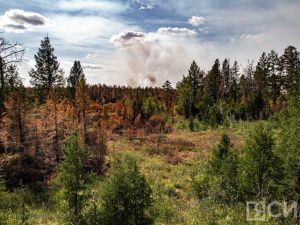 За прошедшие сутки в Якутии ликвидировано восемь лесных пожаров