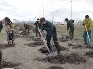 В Парке Победы состоялась акция «Сад памяти»