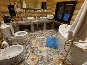 "Золотой" унитаз и нож со свастикой нашли в доме задержанного ректора