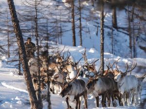 Творческое объединение «Кындыкан» побывало с экспедицией в эвенском поселке Арка Хабаровского края