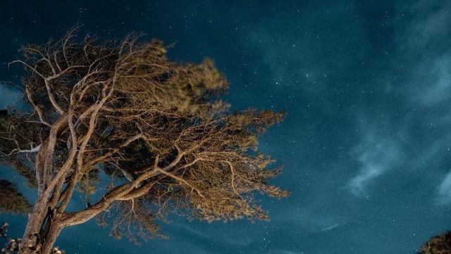 Гороскоп на 14 июня 2023 года: приумножение личных ресурсов и крупная сделка