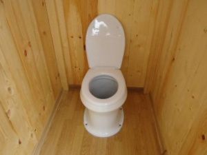 Вот это жадность! Вор вынес даже унитаз