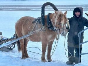 Конный дворник из Тулагино-­Кильдямцев: «Я единственный, кто ездит по посёлку на лошади»