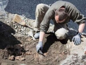 Кто же она, «невольная гостья» из далекого прошлого?