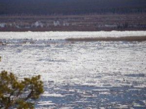 Ледоход возле Якутска продолжается