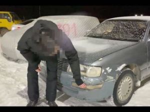 Найден водитель, сбивший косулю в 203 микрорайоне. Он рассказал, что вывез животное за город и оставил возле дороги