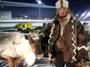 18 оленей доставил почтовый рейс из Тикси в Якутск