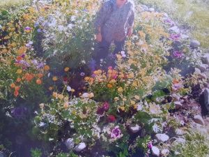 Пенсионерка из Якутии вырастила и собрала огурцы в апреле