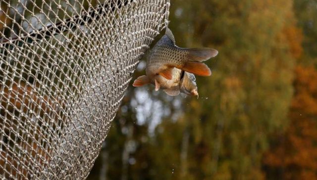 В Якутии разрешили рыбачить сетями на речных и озерных участках