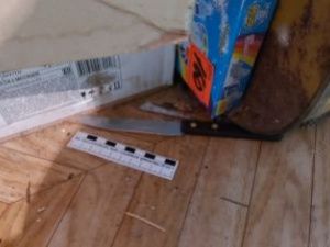 Житель Якутии зарезал родного брата за упреки